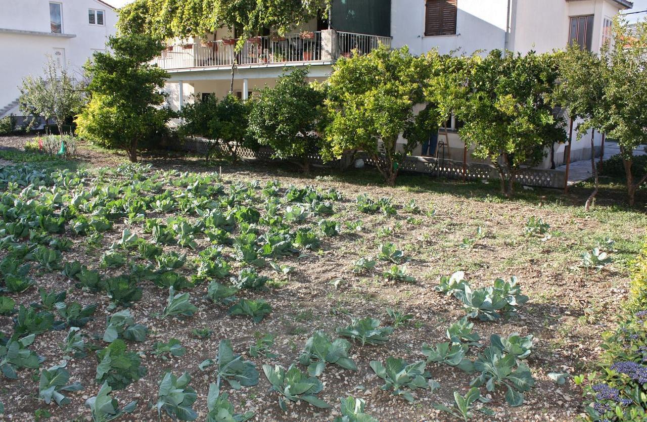 Apartments With A Parking Space Kastel Stafilic, Kastela - 5219 Екстериор снимка